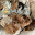@tadanoningen-s5s