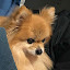 author photo