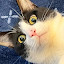 author photo