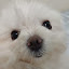 author photo
