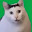 @junkgames6725