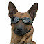 author photo