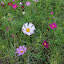 author photo