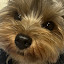 author photo