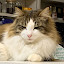 author photo