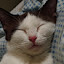 author photo