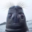 author photo