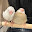 @瑚白-y1m