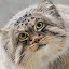 author photo