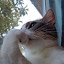 author photo