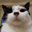author photo