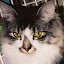 author photo