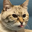 author photo