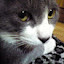 author photo