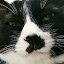 author photo
