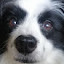 author photo