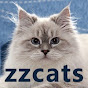ZZCATS - Siberian cattery
