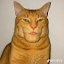 author photo