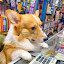 author photo