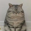 author photo