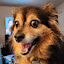 author photo