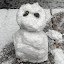 author photo