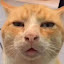 author photo