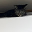 author photo
