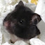 author photo