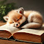 author photo