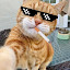 author photo