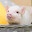 @ppp1235-p8n