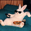 author photo