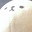 @わたげ-n1d