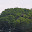 @森林-o9b