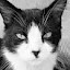 author photo