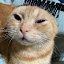 author photo