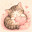 @ねこまる君っす