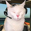 author photo