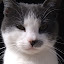 author photo