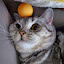 author photo