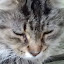 author photo