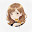 @ろの-g4u