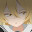 @聖丸-q8r