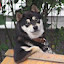 author photo