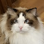 author photo