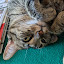 author photo