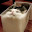 @零れい-m1c