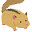 @Kodama_mouse