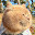 @猫坊主-48